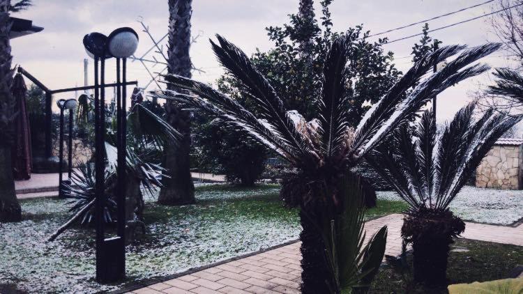 Agriturismo Terre Delle Monache Pontecagnano Ngoại thất bức ảnh