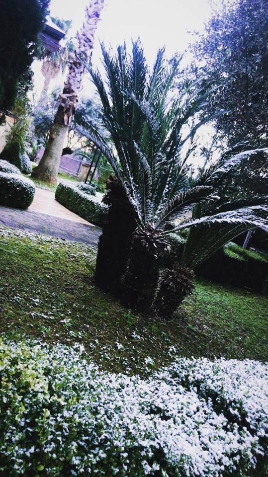 Agriturismo Terre Delle Monache Pontecagnano Ngoại thất bức ảnh